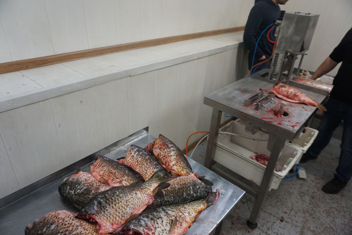 ЭЛЬФ 4М ИПКС-136(Н) Машины для очистки #5