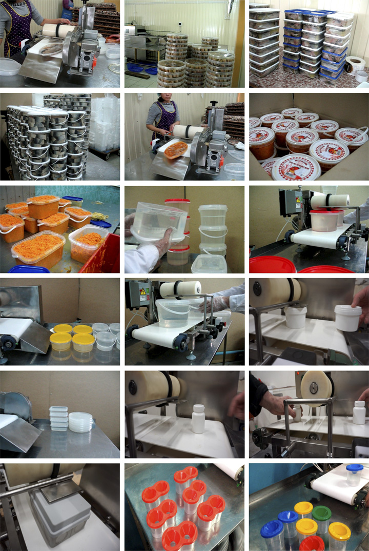 ЭЛЬФ 4М  Гастроемкости #2